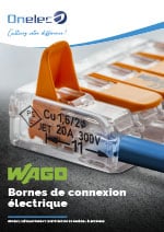 Catalogue Wago Bornes de Connexion